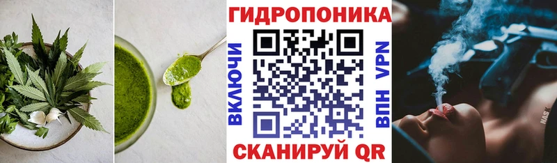 Canna-Cookies конопля  Купить  Горняк 