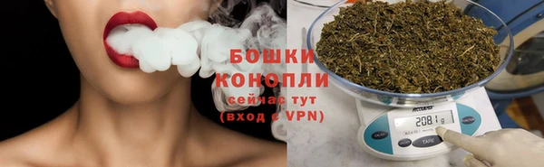 дживик Касимов