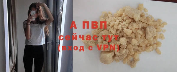 дживик Касимов