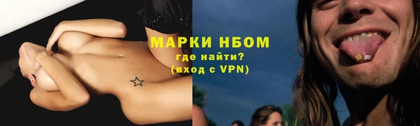 дживик Касимов