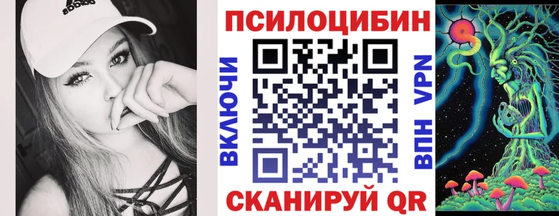 Купить где  Горняк  Галлюциногенные грибы прущие грибы 